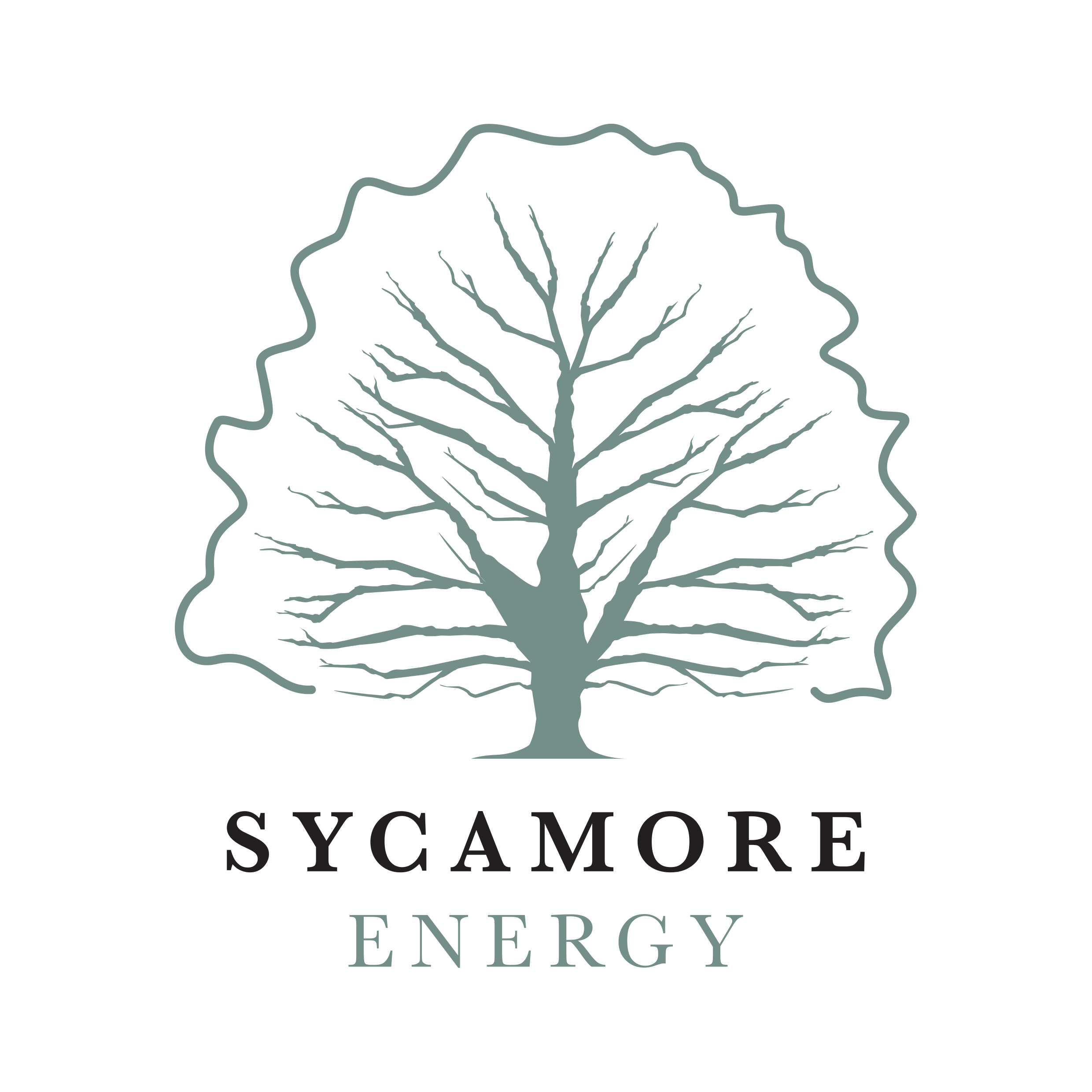 Sycamore Energy